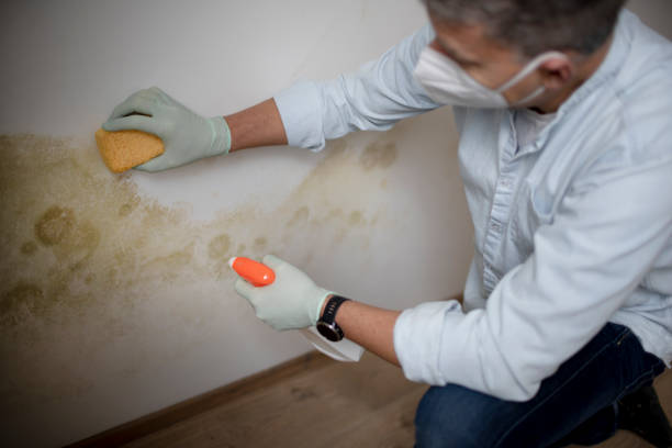 Best Water Damage Restoration  in Manti, UT
