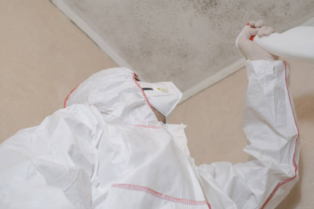 Best Toxic Mold Removal  in Manti, UT
